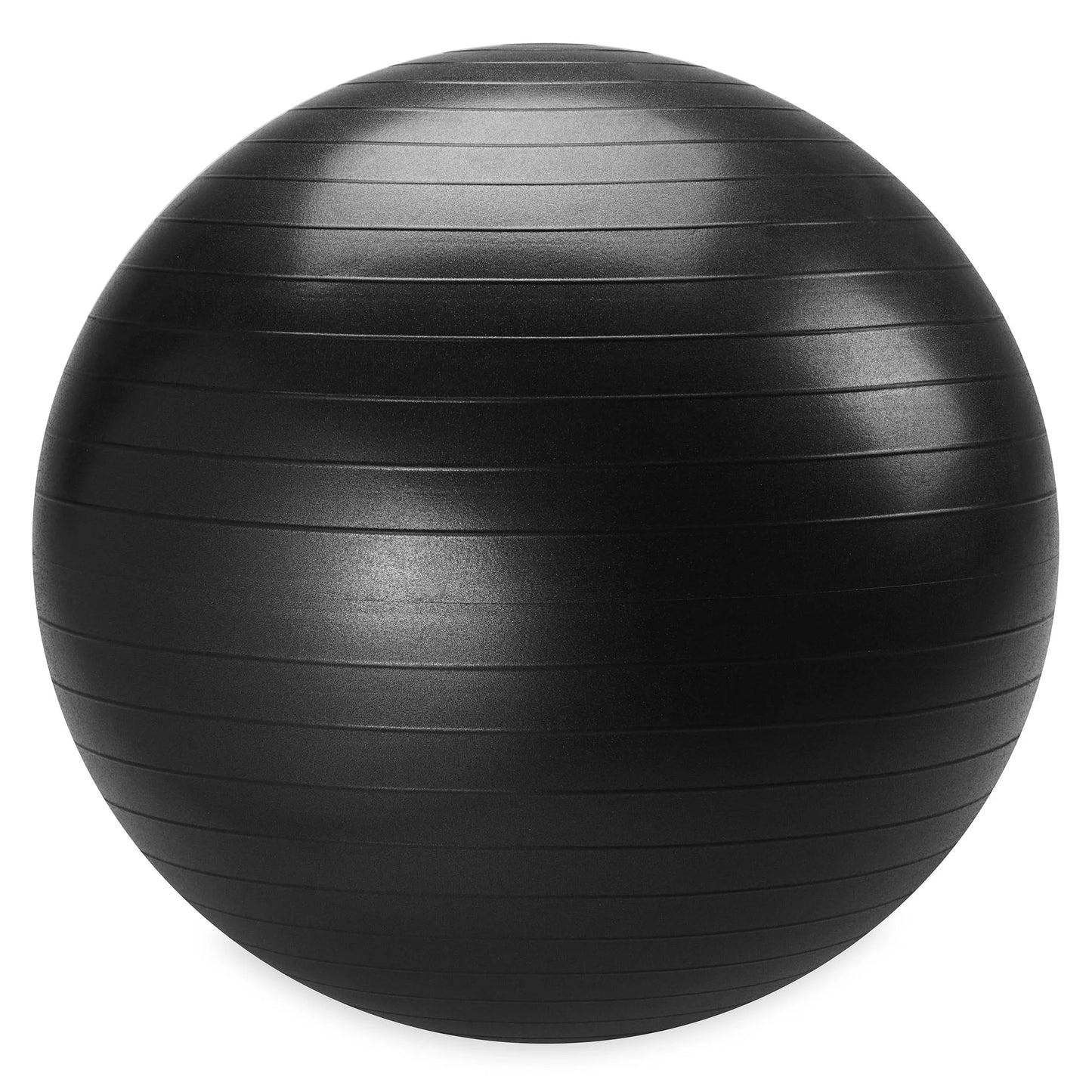 Reebok | Weighted Stability Ball